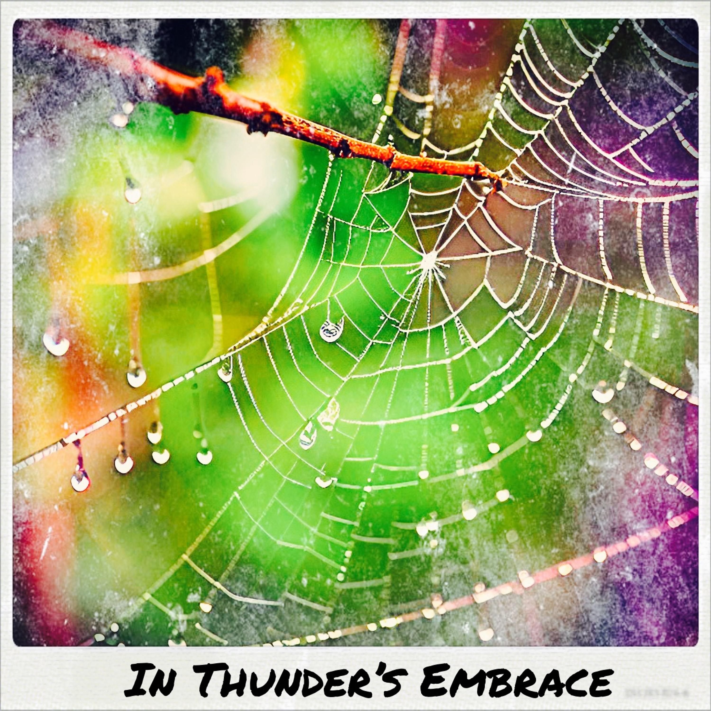 In Thunder’s Embrace episode artwork