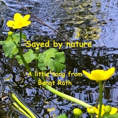 Saved by Nature (repaired)
