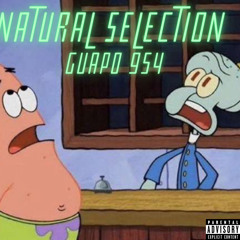 Natural Selection