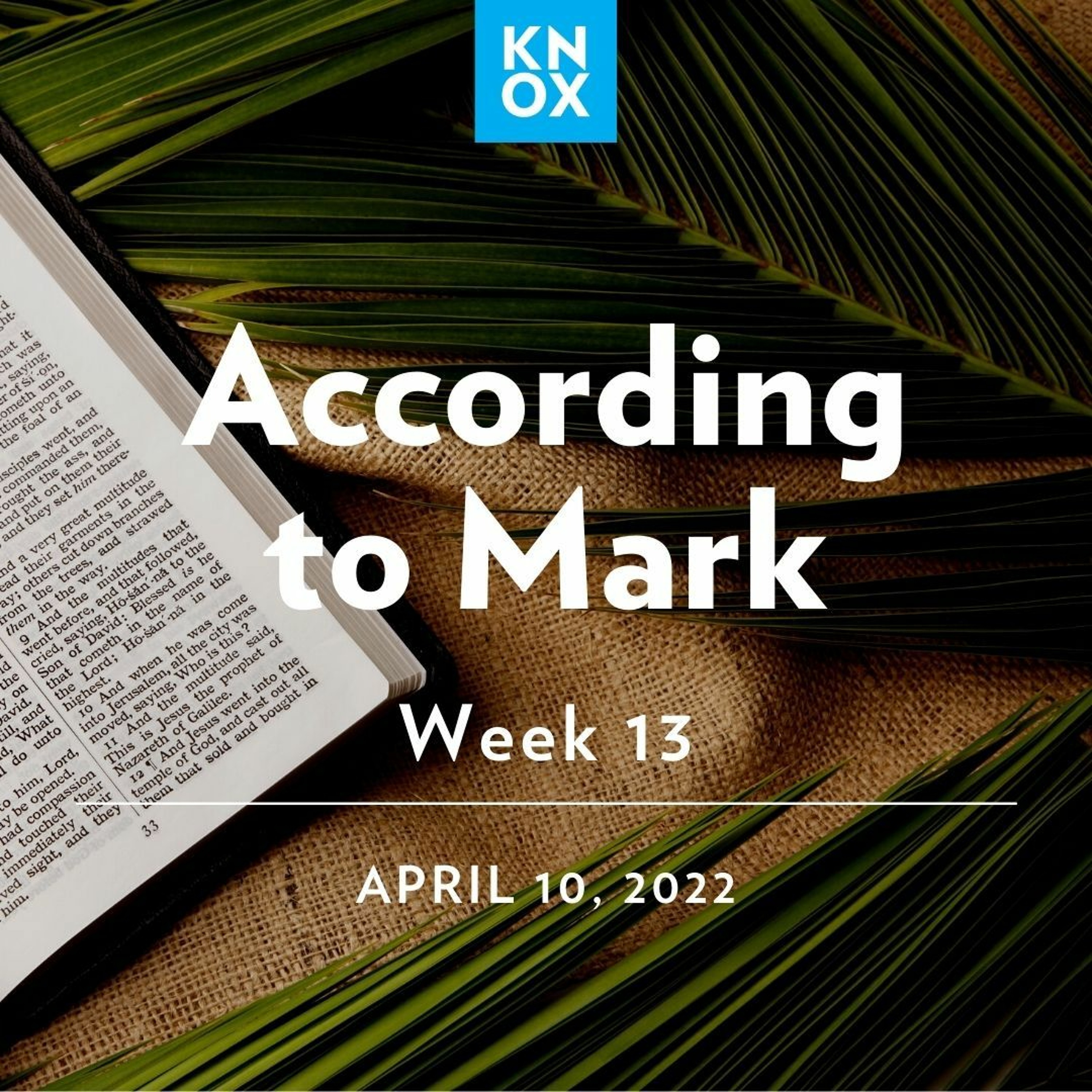 April 10, 2022 | Mark 14:1-11 | According to Mark - Palm Sunday