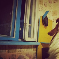 This Love (Taylor Swift cover)