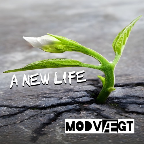 A New Life (Instrumental)