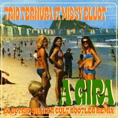 Trio Ternura Ft Missy Elliott - A Gira (Electric Shaker Cult Bootleg Remix)
