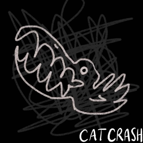 Cat crash but without remixes of conecticut