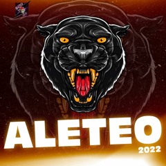 TOKYO 🔥 GUARACHA SET 2022 ✘ ALETEO 11 . 11 Mix ´´ Zapateo, Tribal House, Car Audio´´