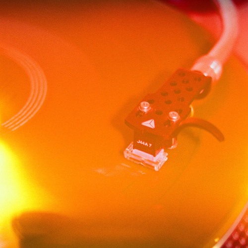NOT NO BAR  - VINYL SET