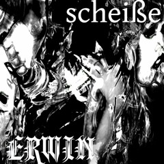 SCHEIẞE (LADY GAGA ERWIN REMIX)
