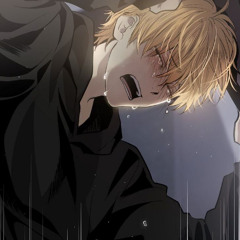 Mảnh Tim Rơi - Vaan