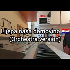 Croatian National Anthem - Lijepa naša domovino (Synthesizer Cover)
