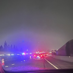 Purple Rain | Purple Substance | Purple Ocean