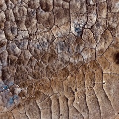Mamwadi & ENDOFDAY - Iraqi desert
