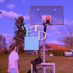 weird (prod. treason434)