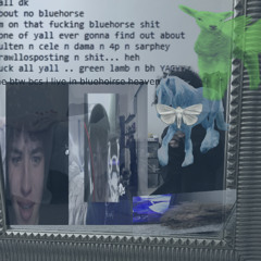 in the green lamb land with my bluehorses