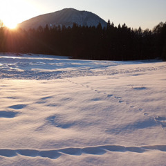 Night Over The Forgotten