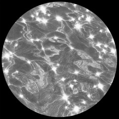 Novaj & Louis Seigner - Always On My Mind (Let U Go) (Slowed + Reverb)