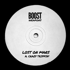 Lost On Mars - Crazy Trippin'