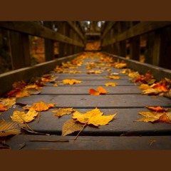 Seasons Change- Lease at ToneJonez.com