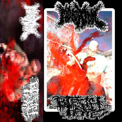 ASSHOLE POWERVIOLENCE