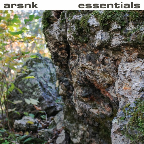 arsnk essentials