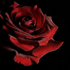 Lil Rook - Rose Red
