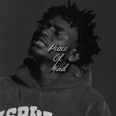 Peace Of Mind - Zai1k