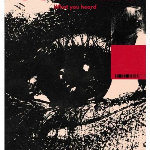 What You Heard (Cover By Marako Kage)