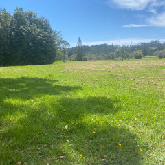 Old School Jungle Mix