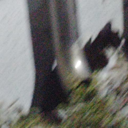 이러다뭐되겠지