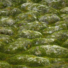 Zoon van snooK - Thufur Thoroughfare(Bix and The Beast Remix)