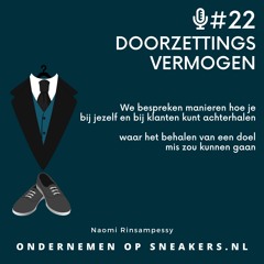 #22 Doorzettingsvermogen