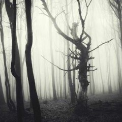 Side Effects (Fuck The System) [prod. Shingan]