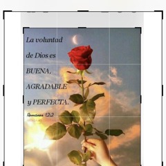 Hermanos, Os Exhorto-Romanos 12:1-2 🌹🎻🎶