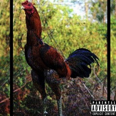 Klawbah340 x DehGoldDan-Big Rooster💥