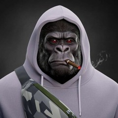 HOUSE SESSION (ZONA FRESA)BY DJALEX