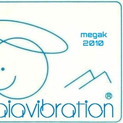 Baia Vibration - Megak - 2010