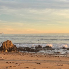 Orient West - Legace (Collab. VanillaFranco)