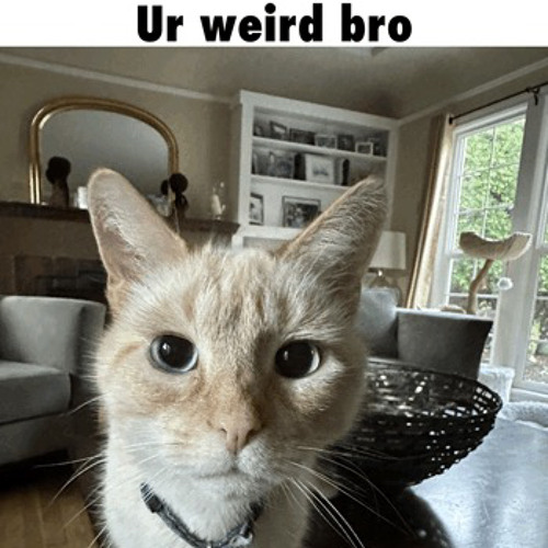 WEIRDO [Direct DL]