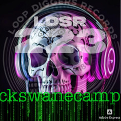 LDSR 223 - ckswanecamp 2