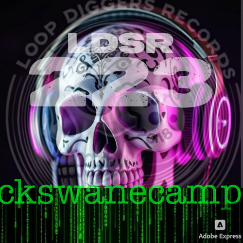 LDSR 223 - ckswanecamp 2