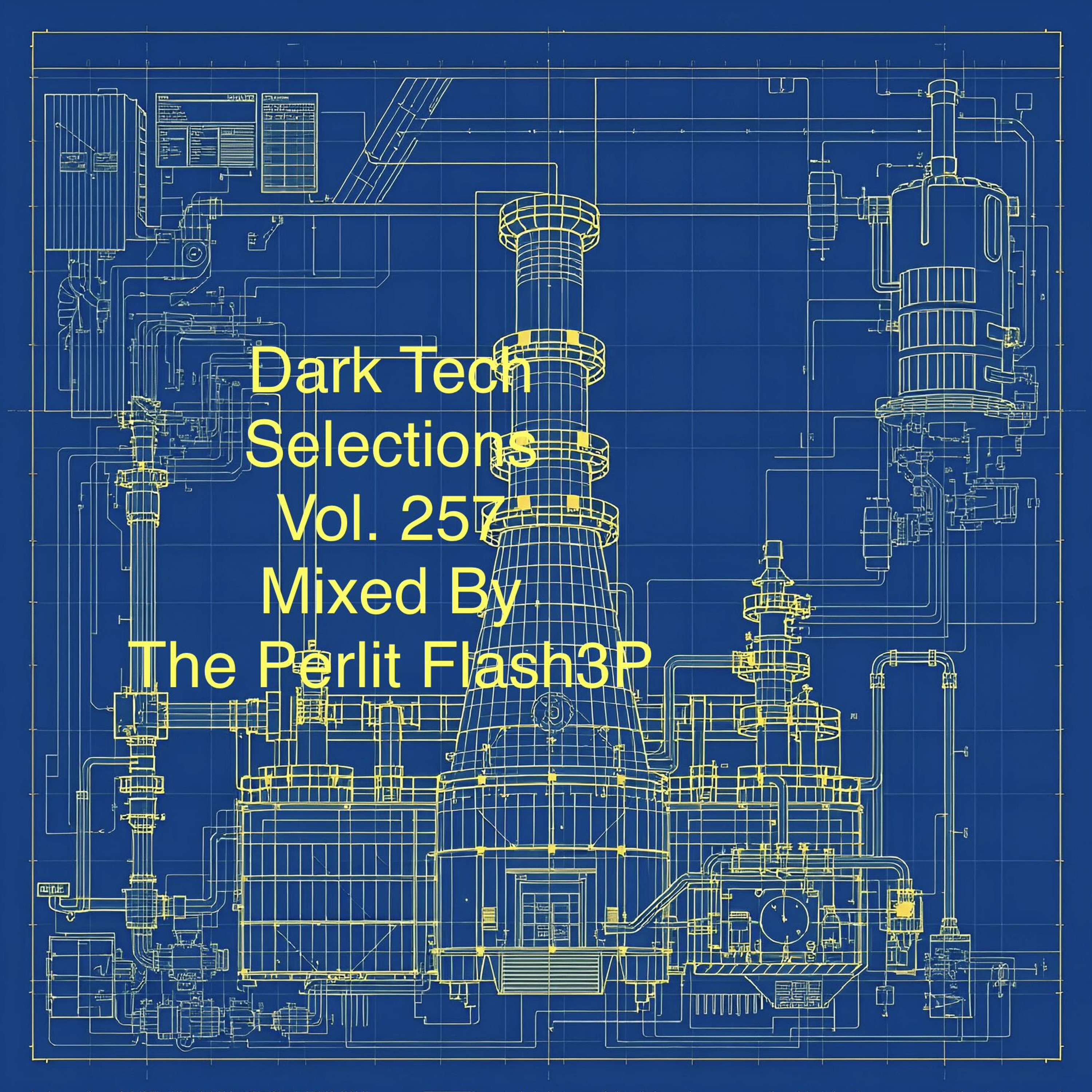 Dark Tech Selections Vol. 257 [Vinyl Only Mix] episode artwork