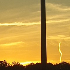 VVSDelusional Tiba- whats going on Prod Theobeatry