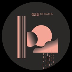 Tom Ries - Weather Can Happen EP [NDQT001]