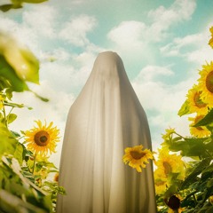 Skrillex & Four Tet - Butterflies [ Godubz Bass House RMX]