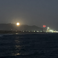 4 The Week (prod. lordzuko)