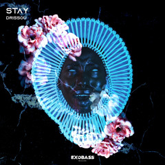 DRISSOU - STAY [EXO-71]