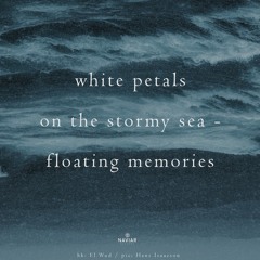 Wandering Memories (naviarhaiku545)