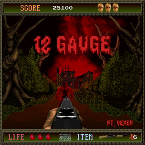 12 GUAGE FT.VEXED