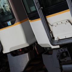 カパネットなばり