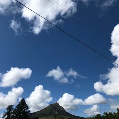 Everyone's Gotta Live