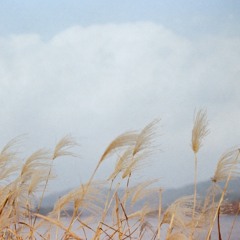 겨울(Fall in love)